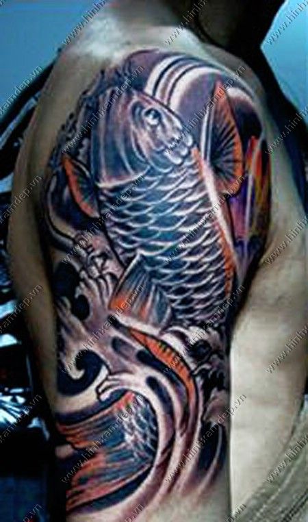 Tổng Hợp Tattoo Ca Chep Giá Rẻ Bán Chạy Tháng 42023 Hình Xăm Cá Chép  Tattoo Bắp Tay Và Hết Tay